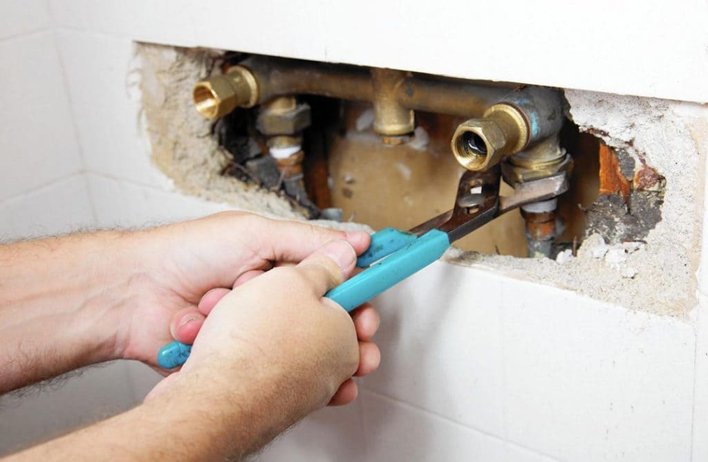 Horticulture & Garden Care